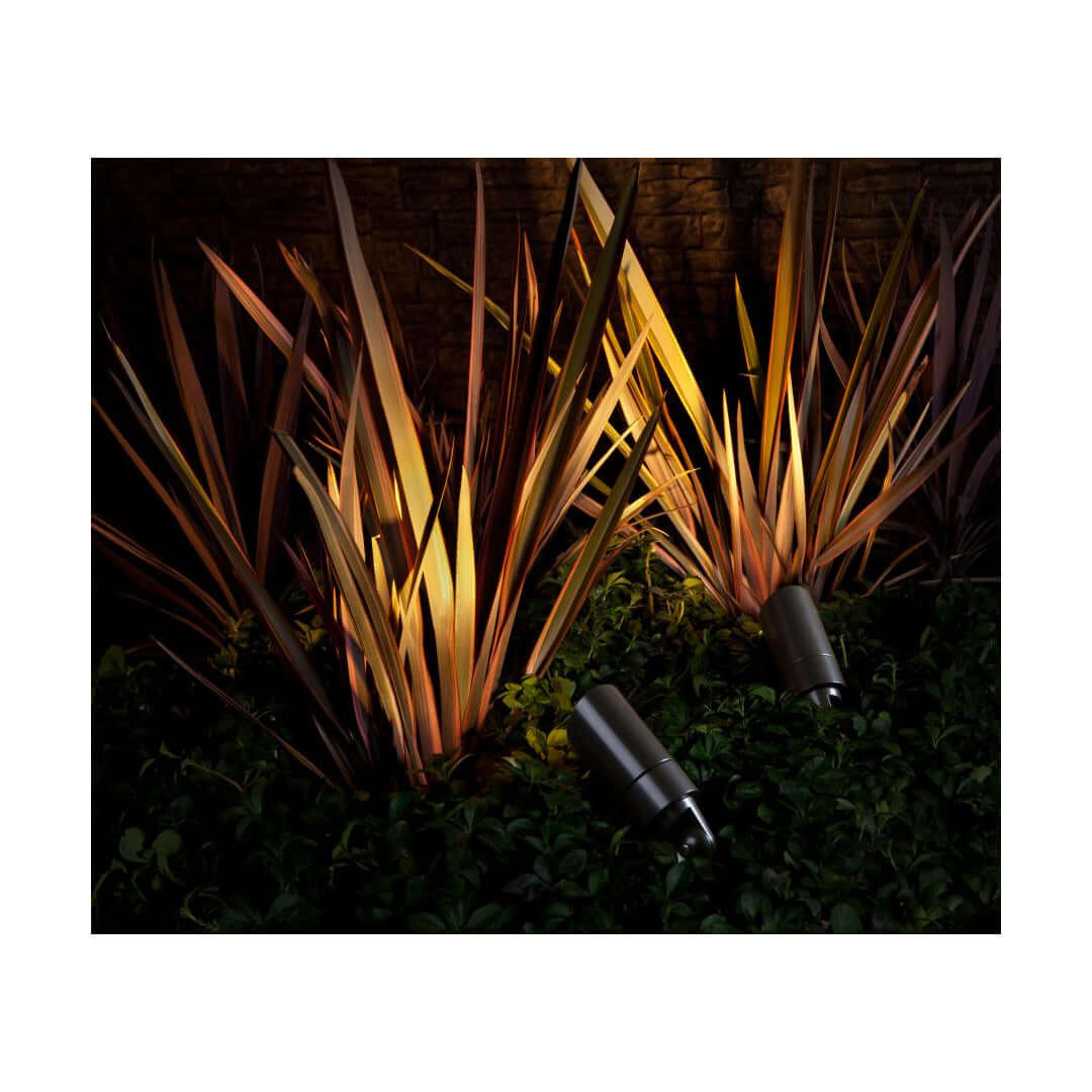 Landscape lighting showcases plants with warm illumination, highlighting their beauty and creating a serene outdoor ambiance.