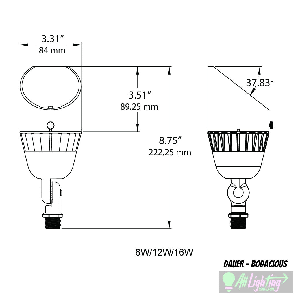 Dauer Bodacious Uplight dimensions