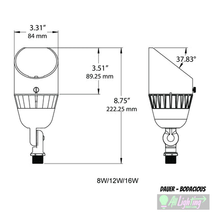 Dauer Bodacious Uplight dimensions